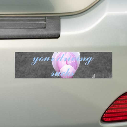 je rijden zuigt de bumper sticker op (Op auto)