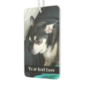 Je schattige huisdier op een luchtverfrisser (Links)