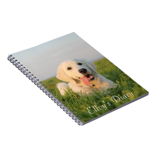 Je schattige puppy op een spirituele laptop notitieboek (Rechterzijde)