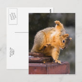 Je stap volgen briefkaart (Voorkant / Achterkant)