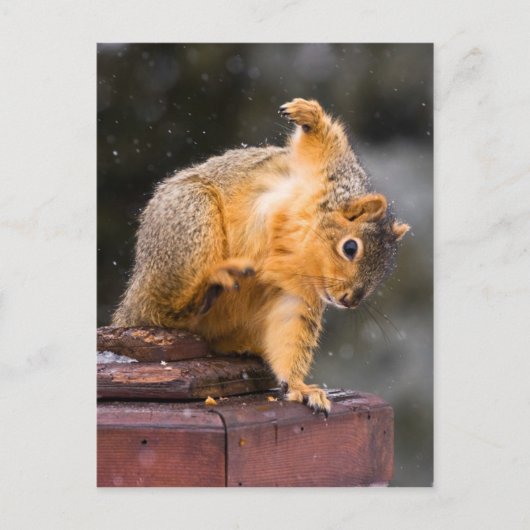 Je stap volgen briefkaart (Voorkant)