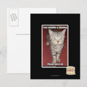 Je stommiteit is verblindend 2 briefkaart (Voorkant / Achterkant)