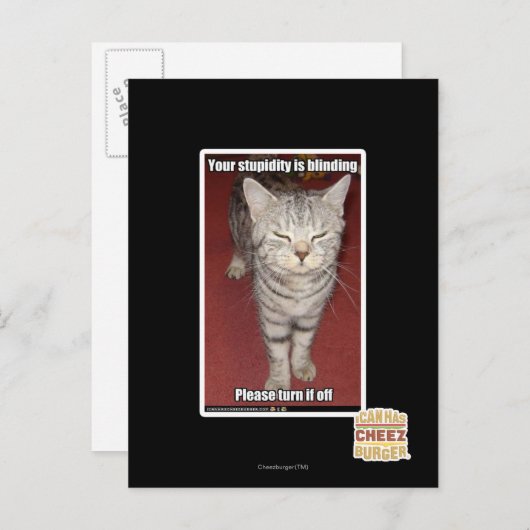 Je stommiteit is verblindend 2 briefkaart (Voorkant / Achterkant)