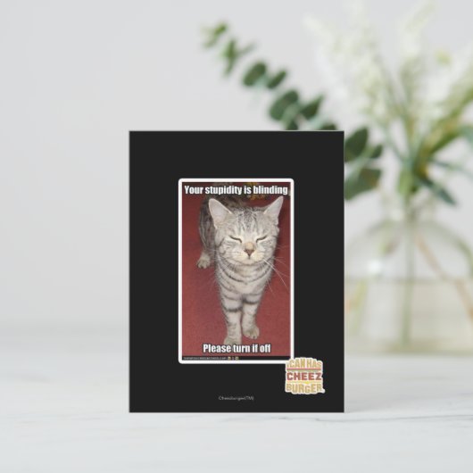 Je stommiteit is verblindend 2 briefkaart (Staand voorkant)