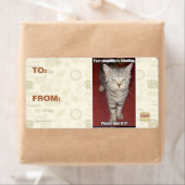 Je stommiteit is verblindend 2 etiket (Insitu)