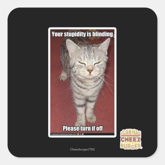 Je stommiteit is verblindend 2 vierkante sticker (Voorkant)