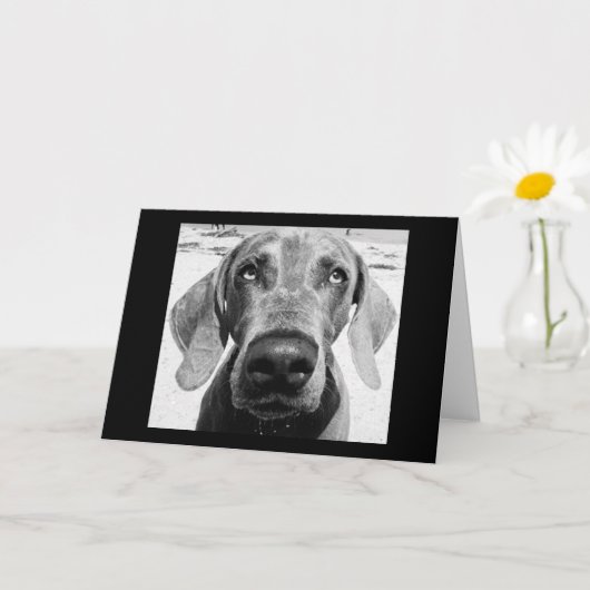 JE TERUGTREDENDE "GELUKKIGE HOND!" KAART (Kleine Plant)