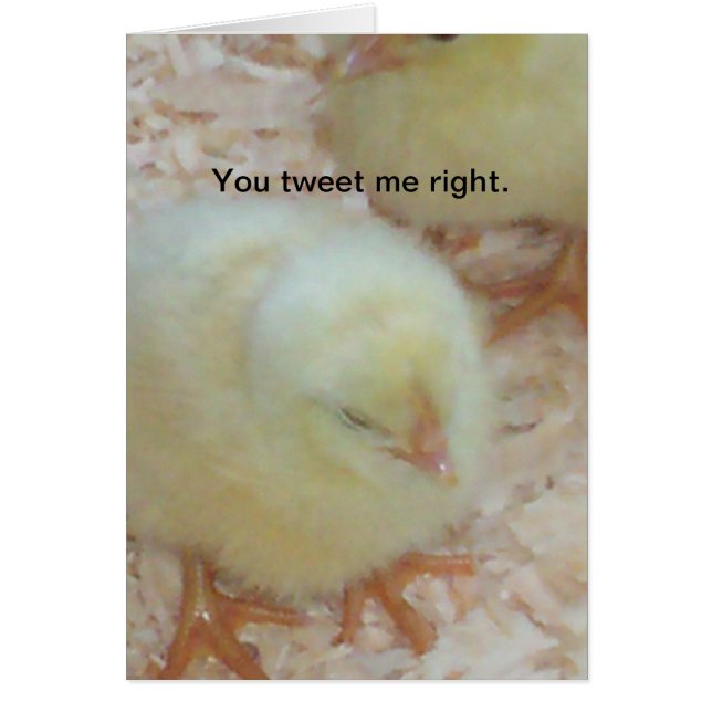 Je twittert me juist. (Voorkant)