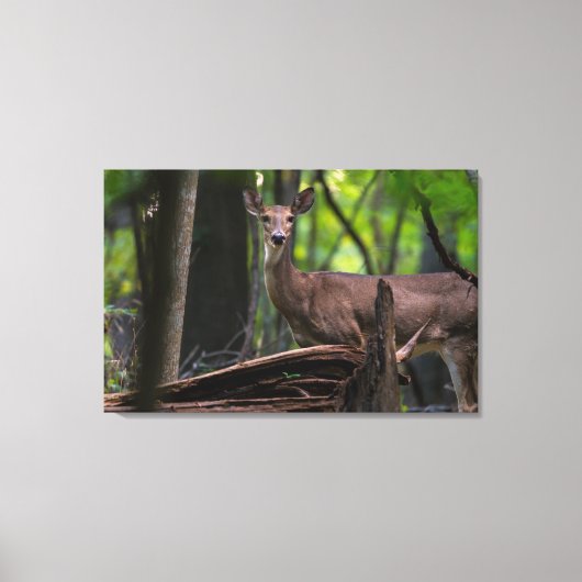 Je uitchecken canvas afdruk (Voorkant)