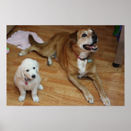 Je verdere baby's op papier poster (Voorkant)