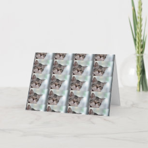 JE VERDIENT WINKS KUSJES KNUFFELS MEER VERJAARDAG KAART