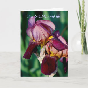 Je verheldert mijn leven bedankkaart