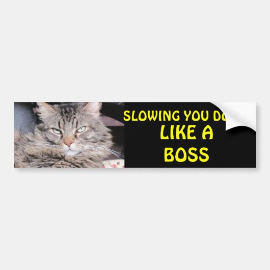 Je vertragen als een baas bumpersticker (Voorkant)