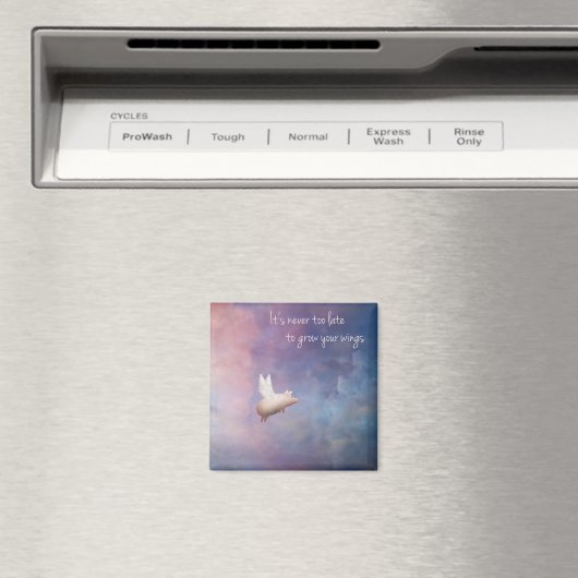 je vleugels kweken magneet (Insitu (Vaatwasser))