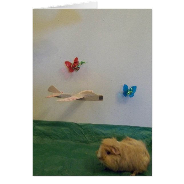 Je vult m'n leven met een griezelige (Voorkant)