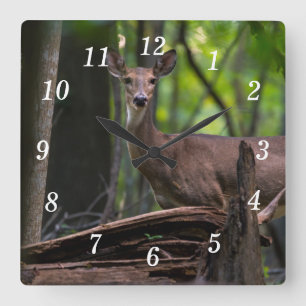 Je wandklok uitchecken