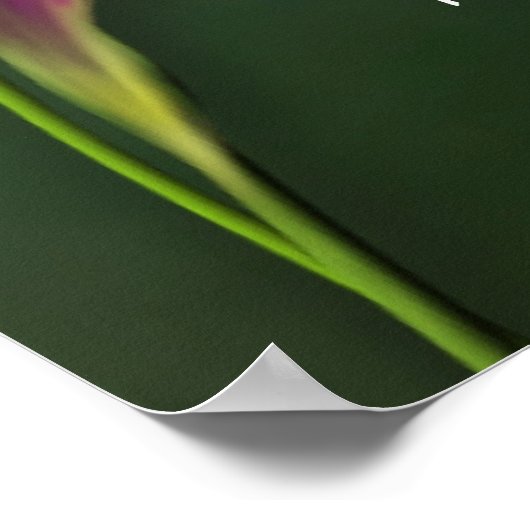 Je was er poster (Hoek)