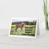 JE WAS MAAR 15 GISTEREN EN ZEGT HORSE KAART (Voorkant)