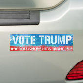 Je weet dat hij gelijk heeft - Stem op Trump - png Bumpersticker (Op auto)