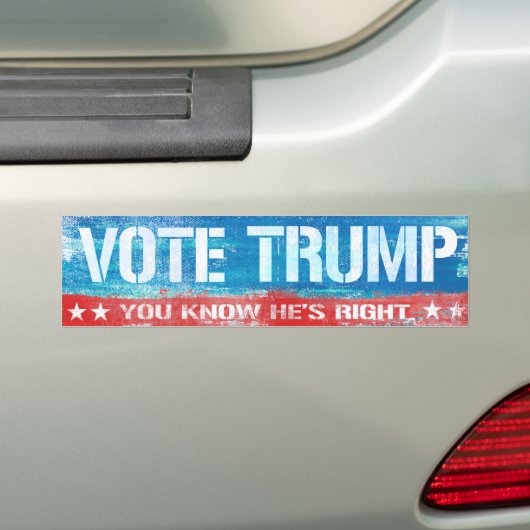 Je weet dat hij gelijk heeft - Stem op Trump - png Bumpersticker (Op auto)