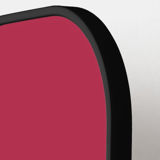 Je weet dat je deze Pickleball Paddle wilt (Links Detail)
