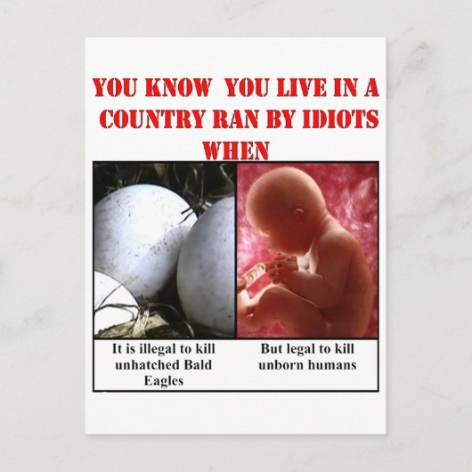 JE WEET DAT JE IN EEN LAND WEET DOOR IDIOTS WANNEE BRIEFKAART (Voorkant)