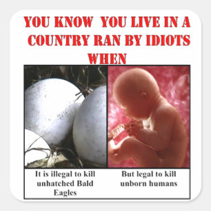 JE WEET DAT JE IN EEN LAND WEET DOOR IDIOTS WANNEE VIERKANTE STICKER