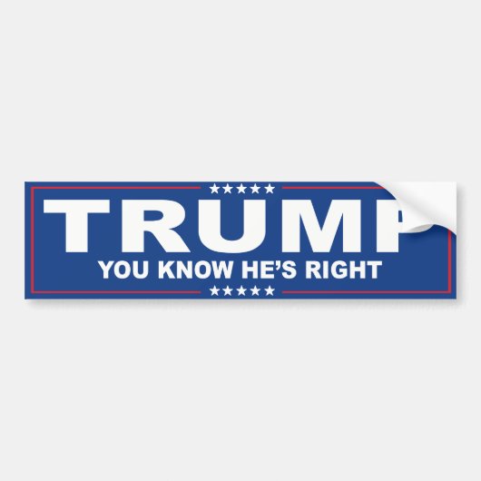 Je weet dat Trump gelijk heeft - Blue Trump - png. Bumpersticker (Voorkant)