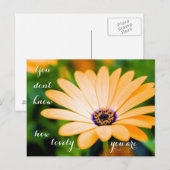 Je weet niet hoe mooi je bent briefkaart (Voorkant / Achterkant)