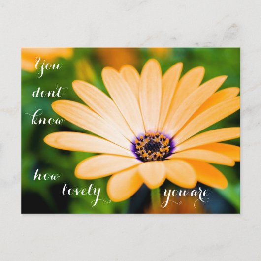 Je weet niet hoe mooi je bent briefkaart (Voorkant)