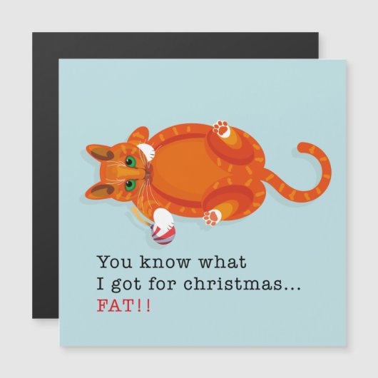 Je weet wat ik voor Kerstmis heb... FAT! (Voorkant / Achterkant)