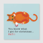 Je weet wat ik voor Kerstmis heb... FAT! (Voorkant)