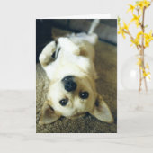 Je wenskaart missen kaart (Gele Bloem)