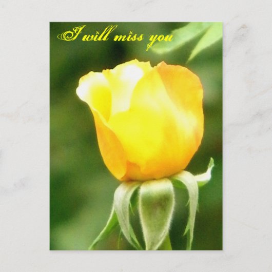 Je wordt gemist/willekeurig Occasions_Briefkaart Briefkaart (Voorkant)