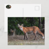Je wordt gevolgd briefkaart (Voorkant / Achterkant)