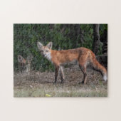 Je wordt gevolgd legpuzzel (Horizontaal)