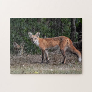 Je wordt gevolgd legpuzzel