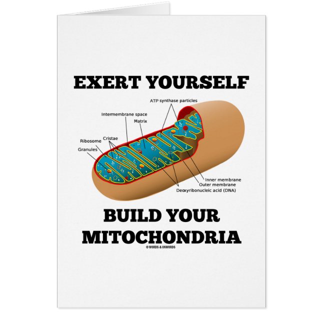 Je zelf maken je Mitochondria (Voorkant)