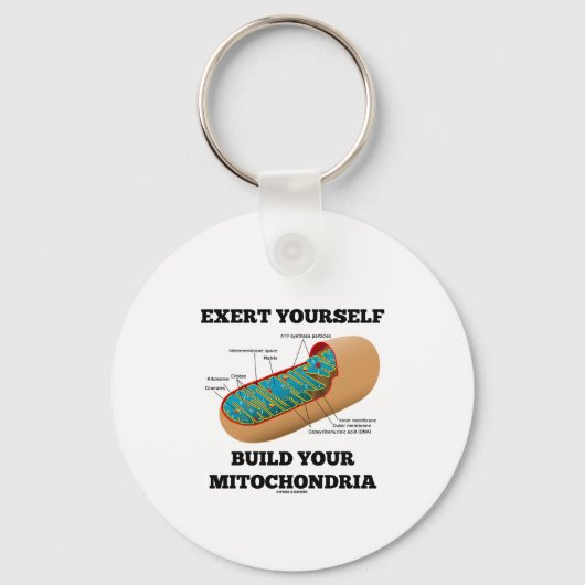 Je zelf maken je Mitochondria Sleutelhanger (Voorkant)