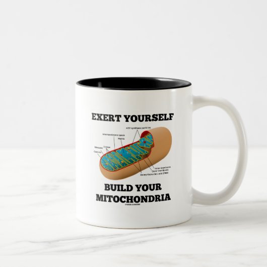 Je zelf maken je Mitochondria Tweekleurige Koffiemok (Rechts)