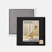 Je zet je rechtervoet erin, je zet je rechtervoet  magneet (Voorkant / Achterkant)