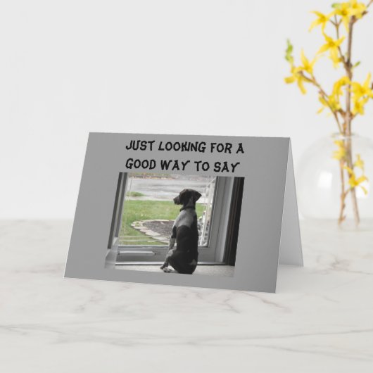 JE ZIET ER GOED UIT OVER DE HEUVEL KAART (Gele Bloem)