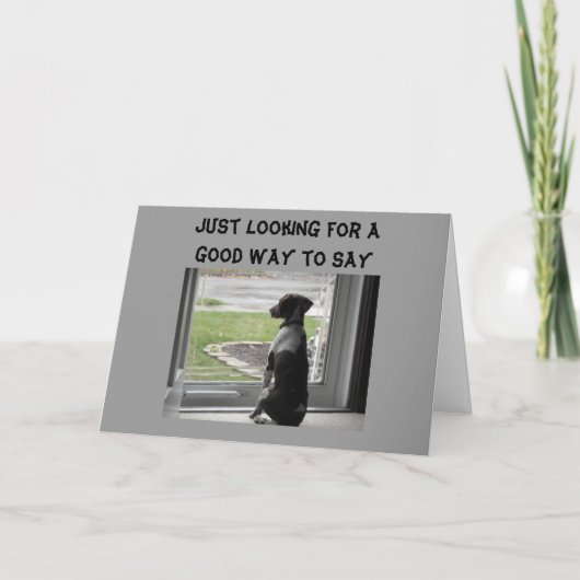 JE ZIET ER GOED UIT OVER DE HEUVEL KAART (Voorkant)