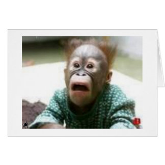 JE ZIET ER OOK UIT ALS EEN GELD