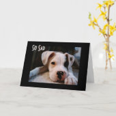 JE ZIET ERUIT OM "40" TE ZIJN KAART (Gele Bloem)