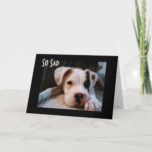 JE ZIET ERUIT OM "40" TE ZIJN KAART