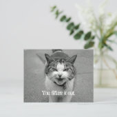 "Je zoekt het uit" Crabby Cat Briefkaart (Staand voorkant)