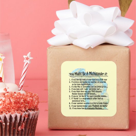 Je zou een Michigander kunnen zijn als: Vierkante Sticker (Feest)