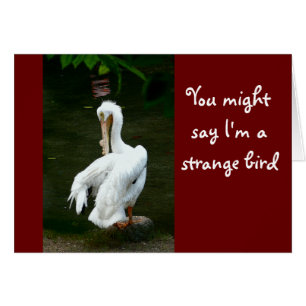 "JE ZOU KUNNEN ZEGGEN DAT IK EEN VREEMDE VOGEL BEN