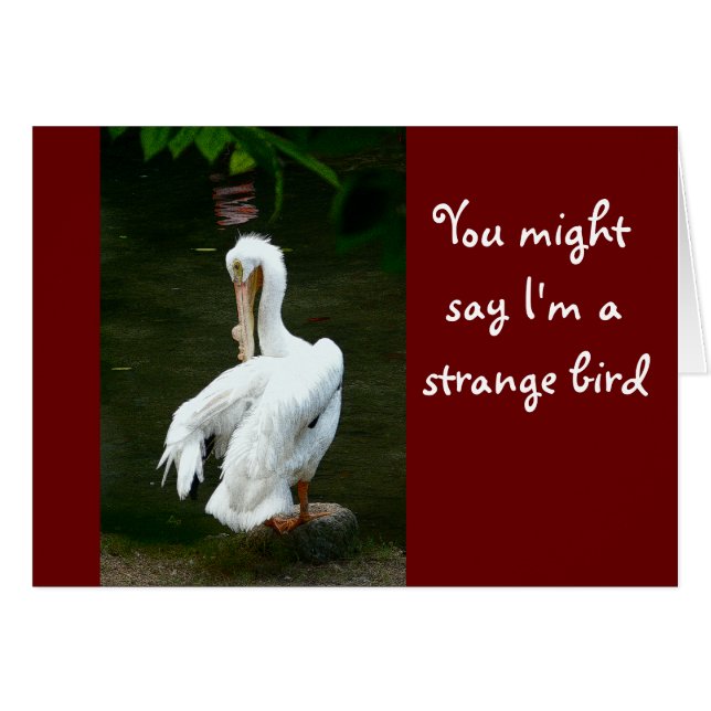 "JE ZOU KUNNEN ZEGGEN DAT IK EEN VREEMDE VOGEL BEN (Voorkant Horizontaal)